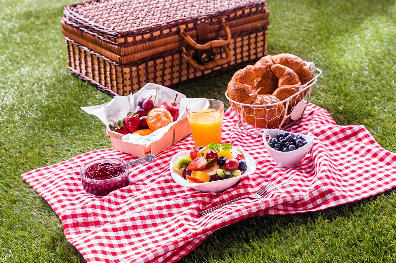 Organizzare un pic-nic all’aria aperta: quale borsa termica scegliere?